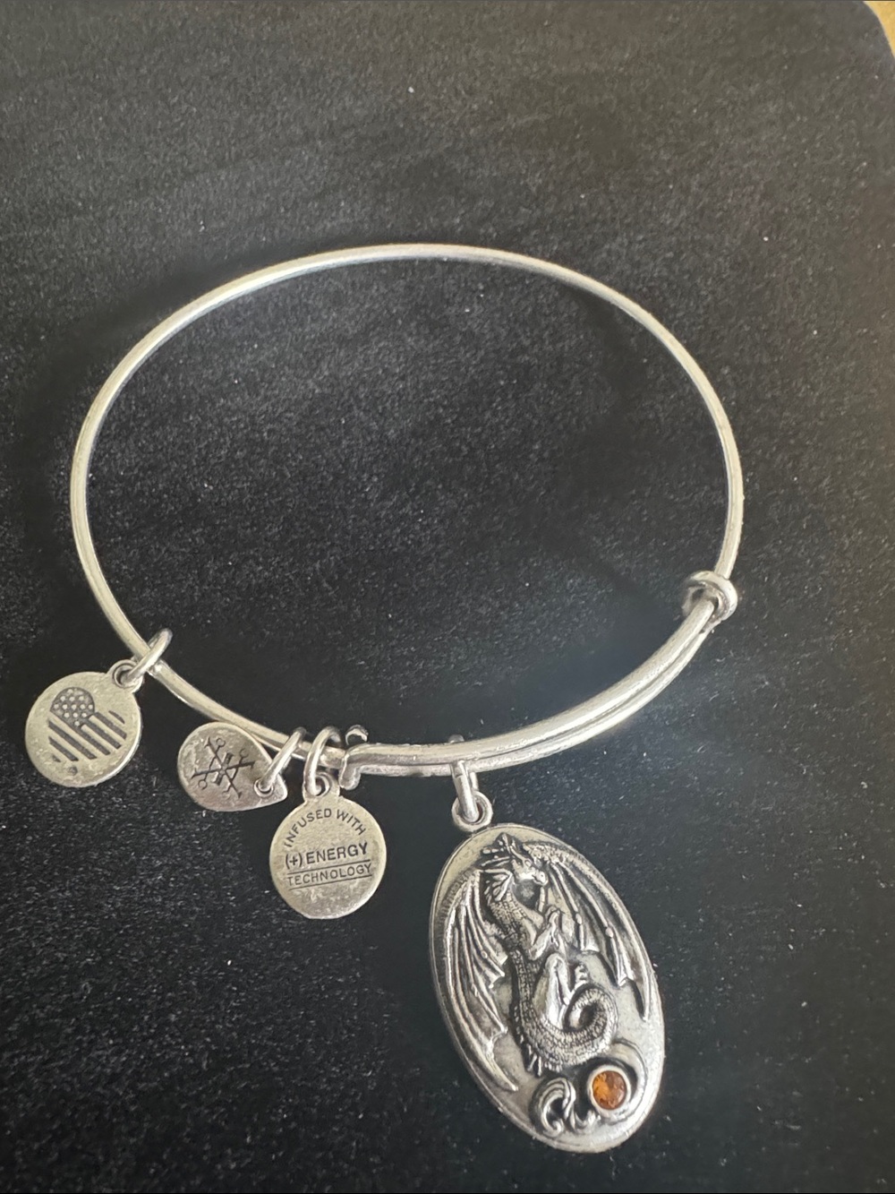 Alex and Ani Dragon Charm Silver Tone Expandable Bangle Bracelet USA